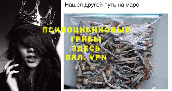 СК Инсар