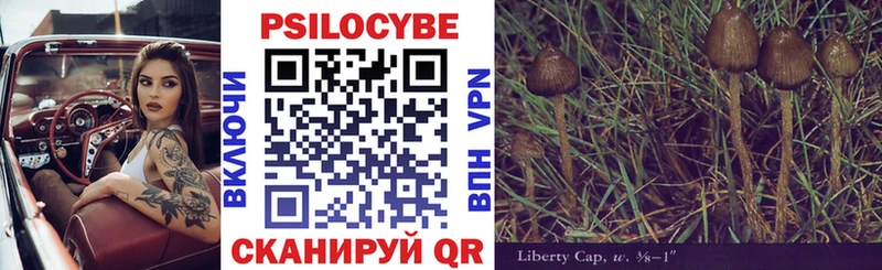 Псилоцибиновые грибы мухоморы  Купить закладки  Грязовец 