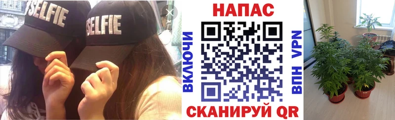 Бошки марихуана семена Грязовец